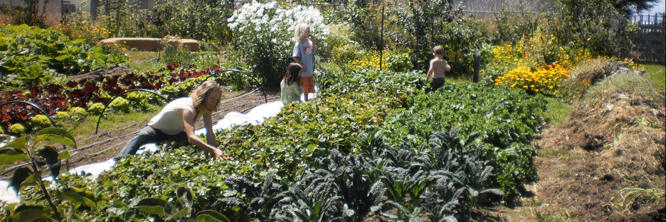 Farm-to-School-960