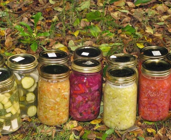 fermented veggies