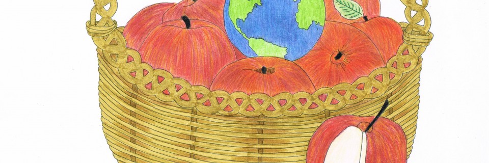 ED 2012 Apple Basket colored pencil ED 2012 Apple Basket colored pencil