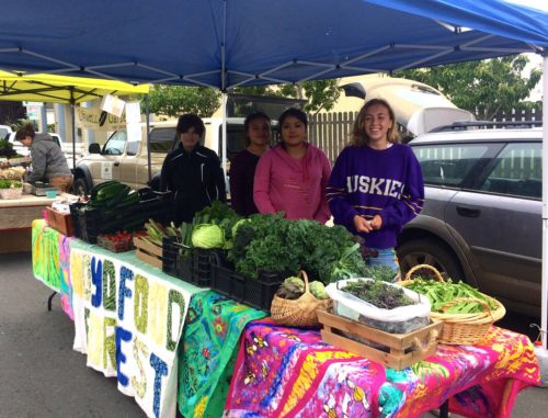 Summer 2018 Interns at Fort Bragg Farmers Market