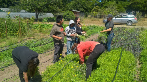 Summer 2018 intern field trip to Upwells Gardens
