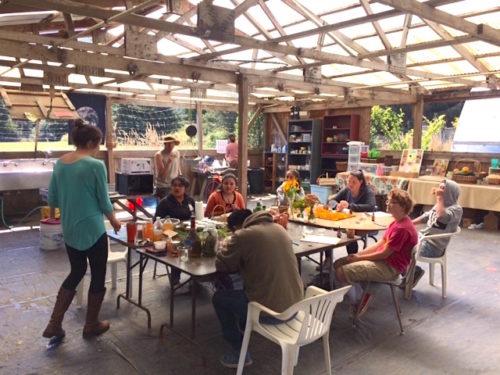 Summer 2018 - Maggie Barrett presented an Herb Workshop for our interns, they made flower essence, herbal tea, calendula salve and herbal vinegar.