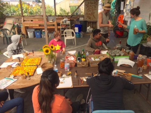 Tasting herbal infused vinegars, Summer 2018 Internship Her Workshop