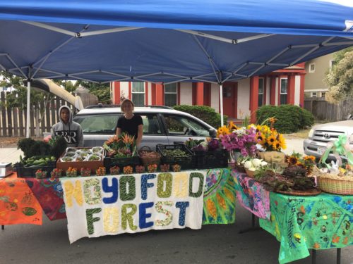 Summer 2018 interns: Oscar Martinez-Rodriguez and Susannah Olson Day at Fort Bragg Farmers Market