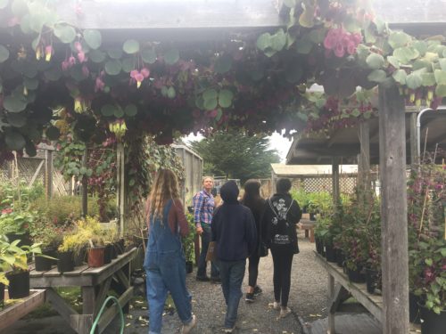 Summer 2018 intern field trip to Mendocino Coast Botanical Gardens