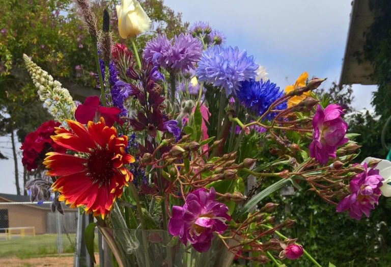 Noyo Food Forest is Hiring!