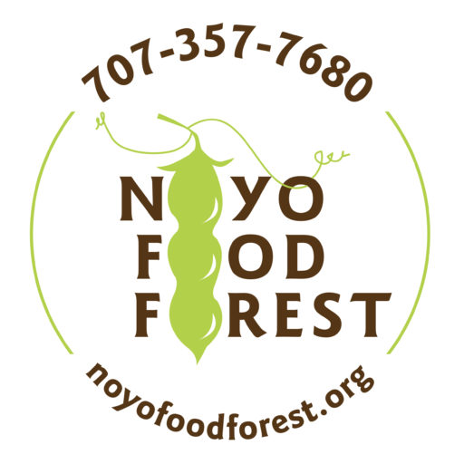 Noyo Food Forest