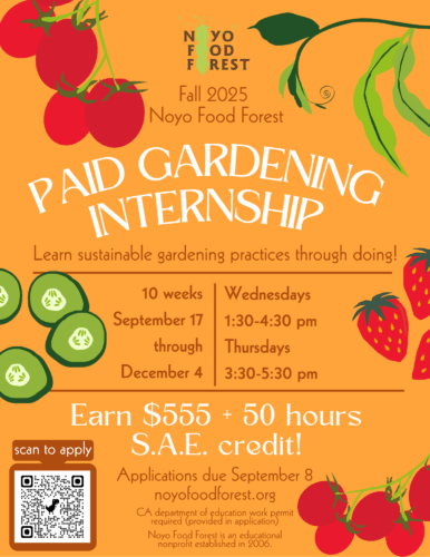 fall 2025 internship flyer english