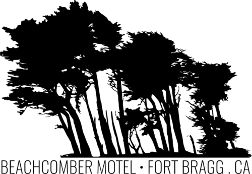 Beachcomber_CypressTrees_Tree+Type (1)