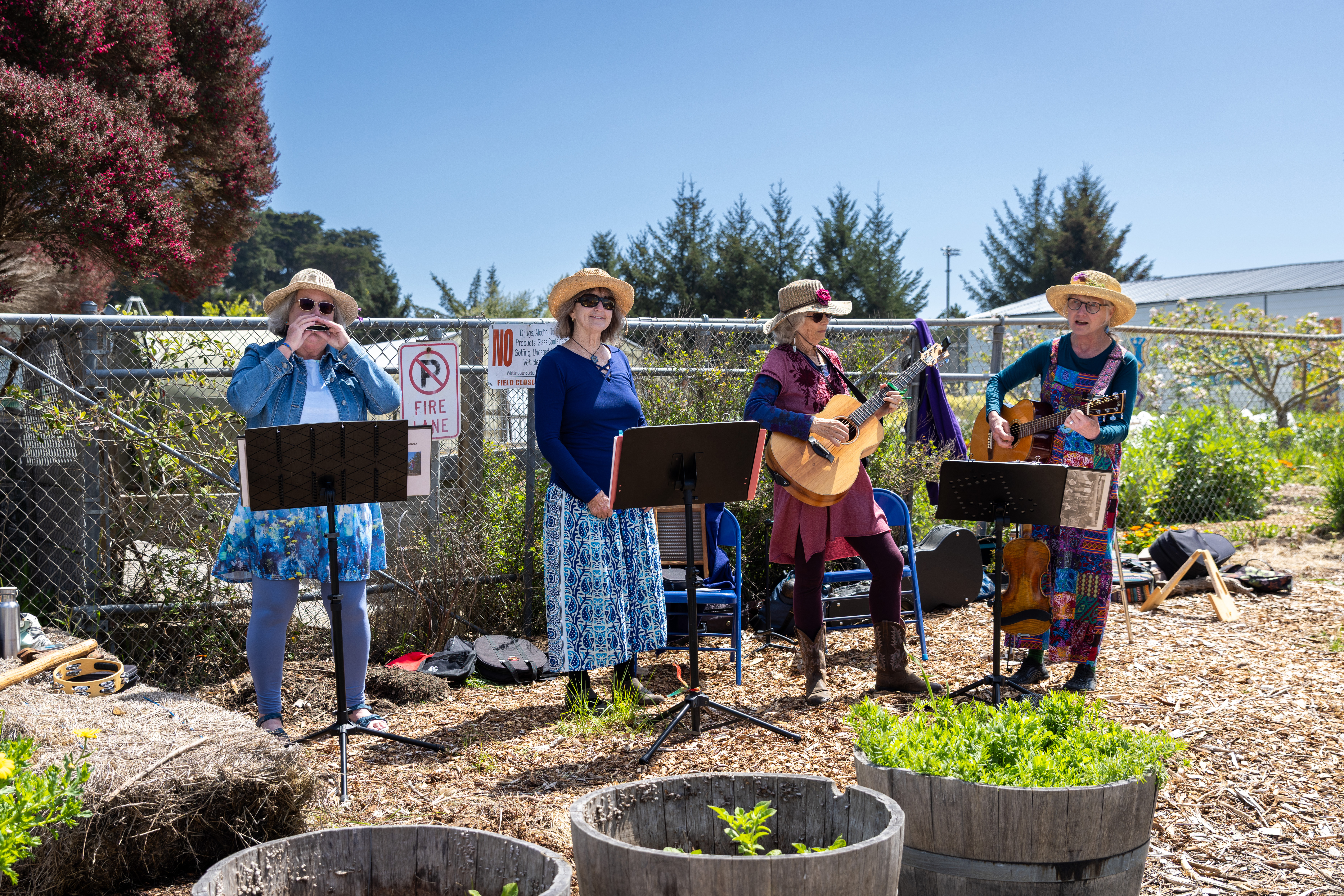 jperlman_noyofoodforest-3N9A6206