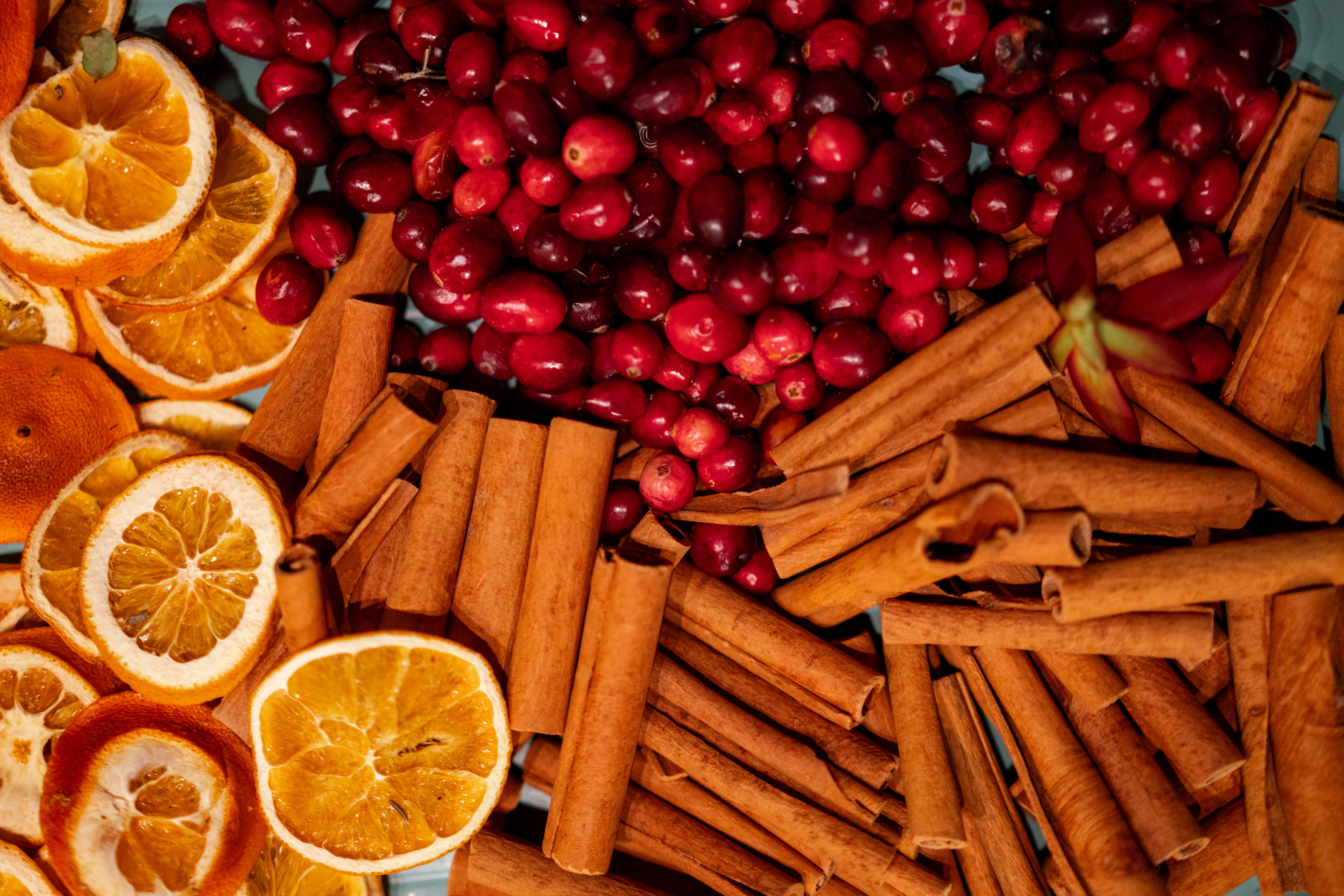 noyo_food_forest_winter2025_nik_z_photo-7