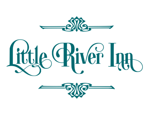 LRI logo new swirls teal