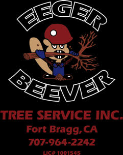 eeger beaver