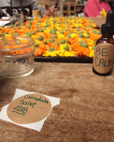 Herb Workshop, Summer 2018