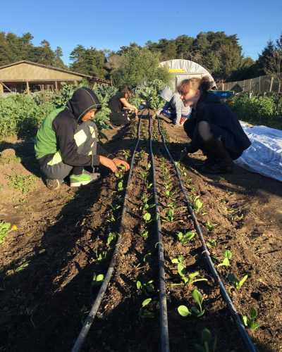 Winter 2017/2018 Interns, getting the starts in the ground